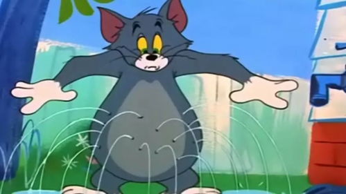 猫和老鼠 一部打破了迪士尼垄断霸权的动画片