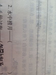 没写字的是不会的 