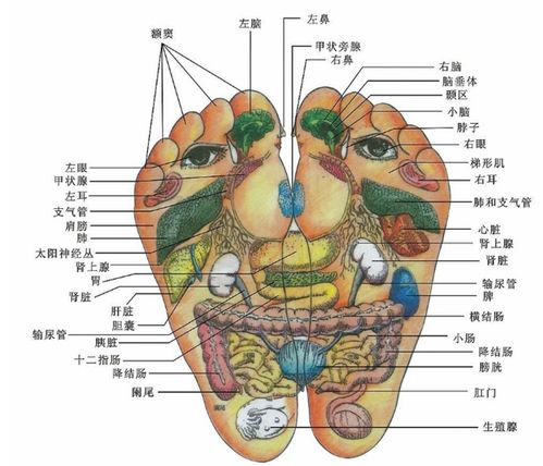 郴州骨科医院为您科普 冬季泡脚5大好处 6项禁忌,快转给家人