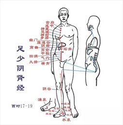 六经辨证中顺序 太阳 阳明 少阳 太阴 少阴 厥阴 