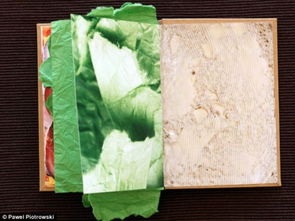 波兰设计师创作三明治书秀色可餐 
