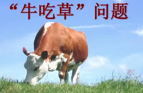 牛不好好吃草是啥原因 瘦牛不爱吃草怎么办 注意做好这三点