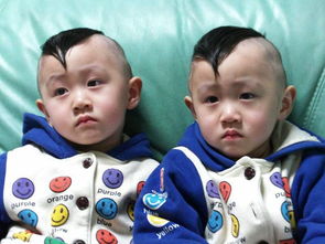 姓杨的男宝宝双胞胎起名,姓杨男孩双胞胎名字