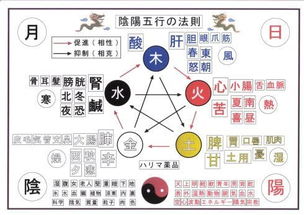 周易究竟是用什么方法推算命运的 