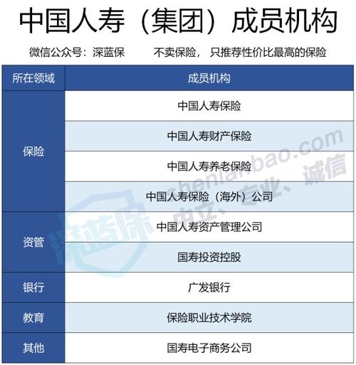 中国人寿的80种重大疾病险种是哪些