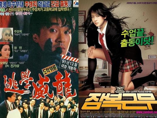 翻拍韩国的电影,韩国翻拍步步惊心