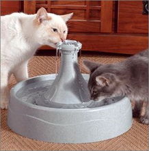 让宠物爱上喝水 五款宠物饮水机推荐