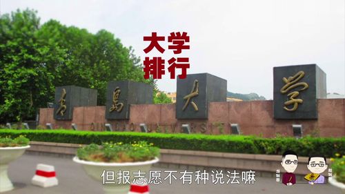 青岛的211大学有哪些