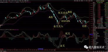 炒股亏100万很正常吗