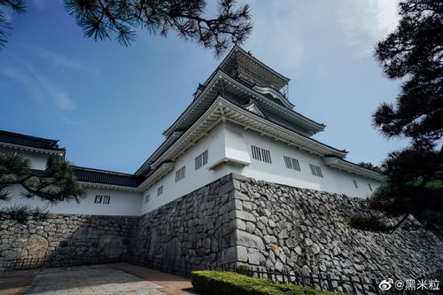 日本富山