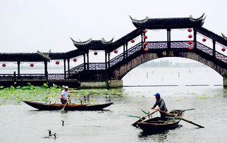 昆山锦溪旅游景点排行榜,昆山有什么好玩的地方景点推荐