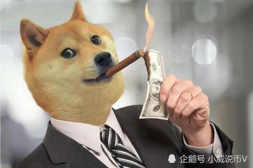 狗狗币 DOGE 有望在新一轮的上涨至0.40美元