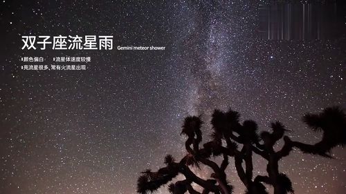 12月14日一年一度的双子座流星雨即将到来,你想和谁一起看 