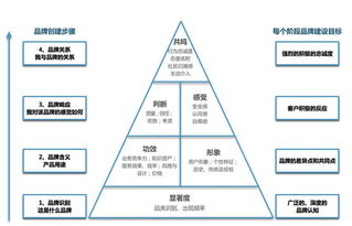 什么是网络事务所？？