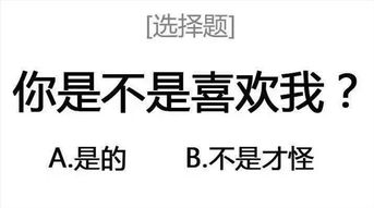 你单身吗我爱你套路高清无水印表情包分享 