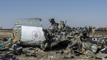 俄罗斯客机在埃及坠毁 原因是什么 