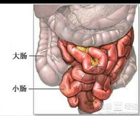 小小孩三周岁了做疝气手术合适吗