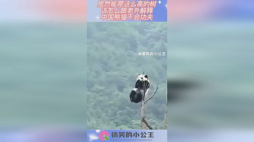 蜉蝣撼树词语解释  蚍蜉撼树谈何容易,是什么意思？