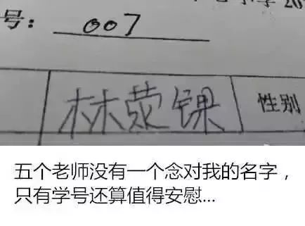 你的名字是 爆款 吗 快来看看全省与你同名的有几个...