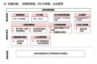 什么叫IDC故障?求答案