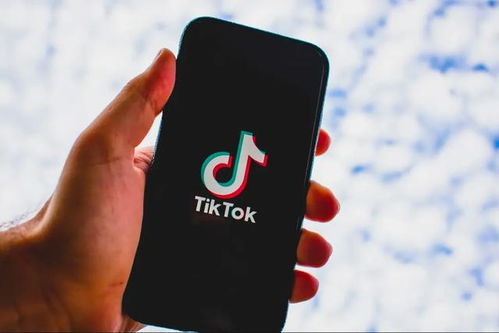 TikTok下载教程有哪些要注意什么_tiktok怎么投ads广告