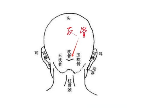 天生反骨 为古之大忌,反骨什么样 这种人又有什么性格特征