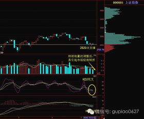 散户是怎么界定的？