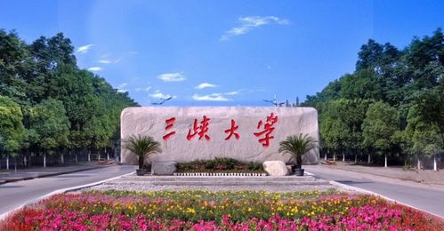 2023年三峡大学成考报名时间及报名入口(图1)