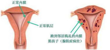 开科创板融资融券这些业务逆回购算不算资产