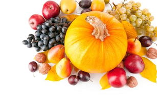 秋天收获的蔬菜和水果有哪些 