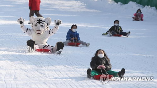 韩国 滑着雪橇过新年 