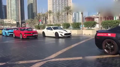 迪拜汽车展览会,很多汽车我都叫不出名字,你呢 