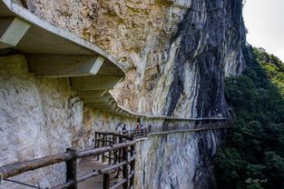 利川有哪些好旅游景点