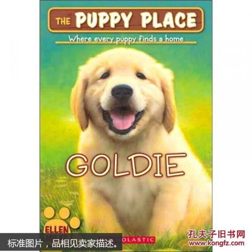 英文原版 The Puppy Place 1 Goldie 小狗乐园系列 01 金毛犬
