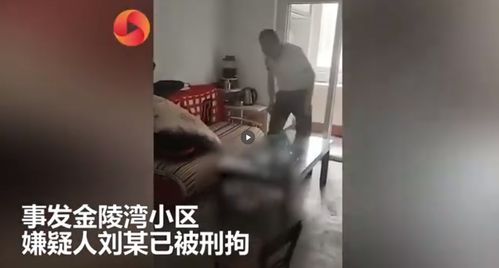 父亲抱摔幼童致死 母亲在旁拍摄,生父摔死幼童，母亲却在旁边拍视频不阻止，母亲犯法吗？(图2)