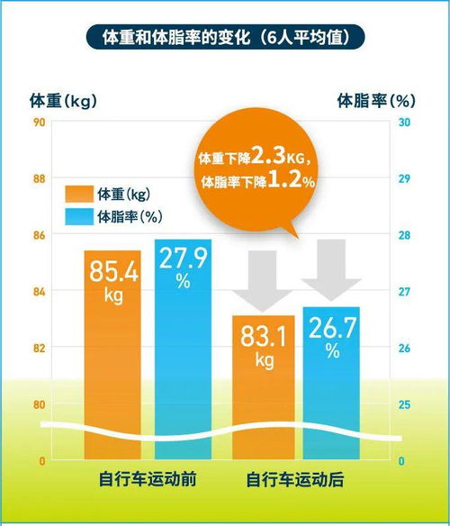 如何有效降低体脂率 米粒分享网 Mi6fx Com