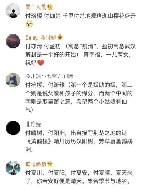 热心网友,帮这对武汉 解封 日出生的双胞胎起个名字呗 