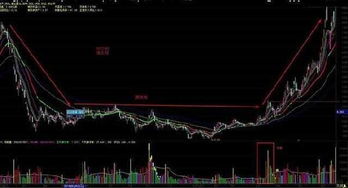 股票短短几天下跌就有百分之90筹码被套说明了什么