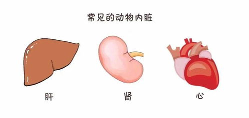 别怪我没提醒你 这图 口味有点重 密集恐惧症者慎入