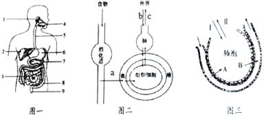 根据学习过的生物学知识回答以下小题 1 除病毒等生物外.生物是由细胞构成的.细胞是构成生物体结构和功能的基本单位, 2 水绵体内叶绿体的形状是带状螺旋形, 3 水中的动物五彩纷呈 