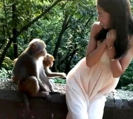 美女逛动物园,想和猴子拍原生态合照,结果肠子都悔青了