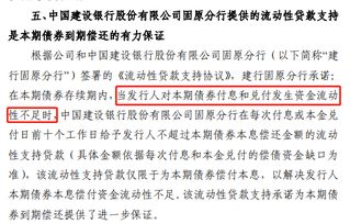 债券发行保荐人和为债券发行提供担保的机构的区别