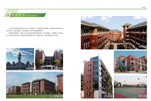 2023中山大学自考本科专业(图2)