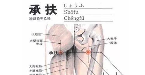 症在四肢五官,病在五脏六腑,根在经脉不通 2招,通经络除百病 人体 