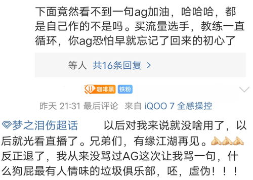 无缘AG大名单后,梦泪半年前言论被曝出,KPL最后一战再无可能