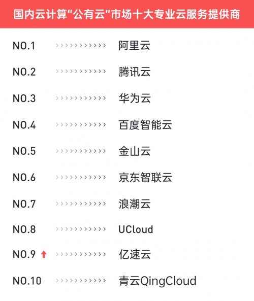 中国十大云计算公司排名(云服务器销售额排行表)