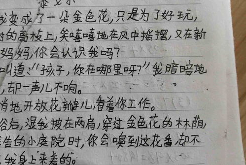 材料扣题怎么弄好看？且字又写得好(材料答题技巧)