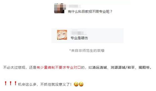 无教资证 专业不对口也能考编制