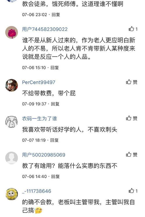 为什么老员工宁可辞职也不愿意带新员工 原因很现实