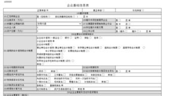 企业类别怎么填